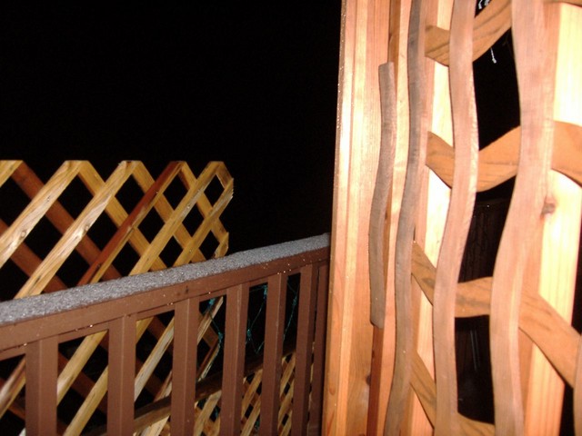 DSCF0096.JPG