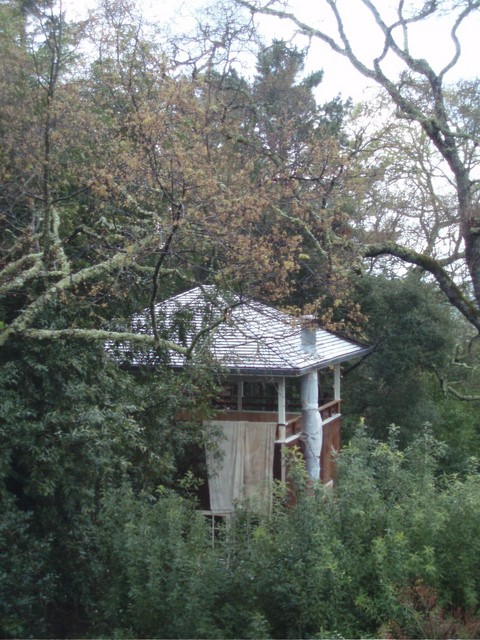 P1010003.JPG