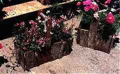 Display planters sold at Antonelli Brothers (5KB/56KB)