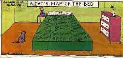 Typical Cat's " Invisible" Map of a Bed (10KB/139KB)