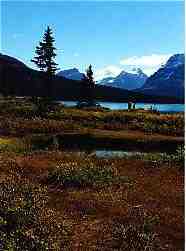 Bow Lake facing southward toward Banff (12KB/58KB)