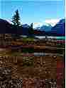 Bow Lake facing southward toward Banff (12KB/58KB)