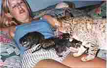 Erin McKinney " testing"  mama cat Devojka by holding her 3 kittens. Aug. 1998 (16KB/143KB)