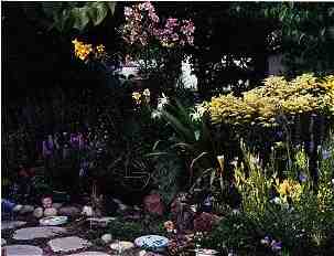 Front Garden from the driveway. Awesome Lillies! June 1999 (8KB/94KB)