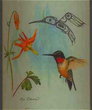 Northwest Coast Hummingbird water color by Sue Coleman, of Vancouver Island. (7KB/67KB)