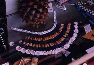 MiWuk necklace of pine nuts, freshwater clams, and beads (7KB/66KB)